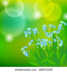 Vector floral spring background with drawings of a bunch of small blue flowers known as forget-me-not or Jack Frost flowers on sun lighted blurry bokeh