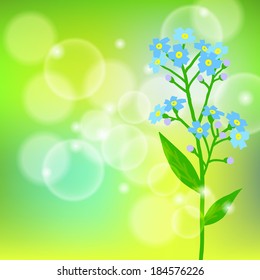 Vector floral spring background with drawings of a single small blue flower known as forget-me-not or Jack Frost flower