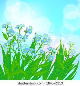 Vector floral spring background with drawings of a field of small blue flowers known as forget-me-not or Jack Frost flowers
