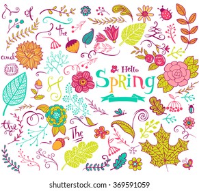 Vector floral spring design  elements in doodle style, hand-drawn flowers and insects and plants