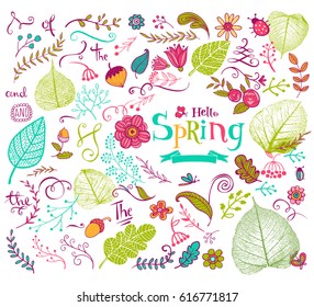 Vector floral spring design elements in doodle style, hand-drawn flowers and insects and plants