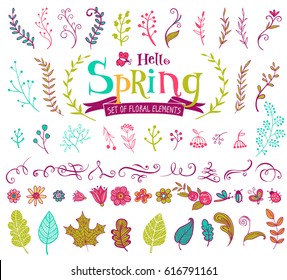 Vector floral spring design elements in doodle style, hand-drawn flowers and insects and plants