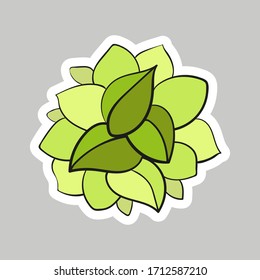 Vector floral sticker. Circular composition of leaves. Floral design element for web, stickers, greeting cards, logo.