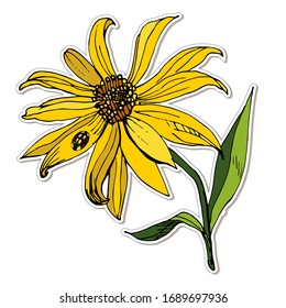 Sticker floral vectorial, flor de alcachofa amarilla de Jerusalén, de primer plano, dibujado a mano, de dibujos animados, aislado en fondo blanco, ilustración para la decoración de libros, tarjetas, álbumes, ropa para niños