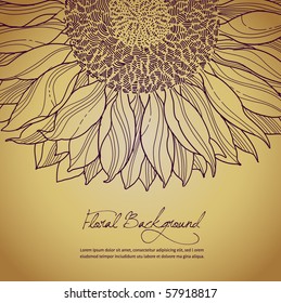 vector floral summer background with sunflower