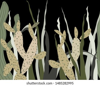 Vector floral summer horizontal tropical pattern background with cactus, agave and succulents. 