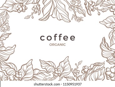 Vector floral template Coffee tree, bean, berry, grain, branch Nature banner Aroma organic drink, tropical plantation Line art sketch design Hand drawn illustration Vintage graphic frame, decor border