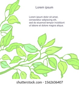 Vector floral template. Hand draw frame. Can be used for invitation, greeting card, poster, banner