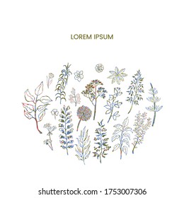 Vector floral template with plants and flowers. Hand draw frame. Use it as invitation, greeting card, poster, banner, Social Media design post, flyer, cover, placard, brochure and other graphic design