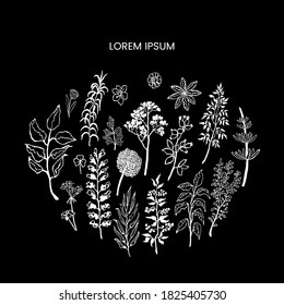 Vector floral template with plants and flowers. Hand draw frame. Use it as invitation, greeting card, poster, banner, Social Media design post, flyer, cover, placard, brochure and other graphic design
