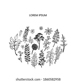 Vector floral template with plants and flowers. Hand draw frame. Use it as invitation, greeting card, poster, banner, Social Media design post, flyer, cover, placard, brochure and other graphic design