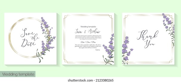 Plantilla vectorial floral para invitación a la boda. Delicada lavanda, marcos dorados