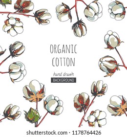 Vector floral texture with cotton branches isolated on white. Hand drawn botanical texture with beautiful and cozy plant in sketch style