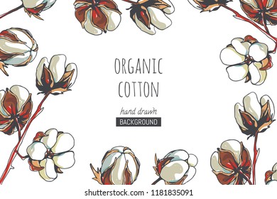Vector floral texture with cotton branches isolated on white. Hand drawn botanical texture with beautiful and cozy plant in sketch style
