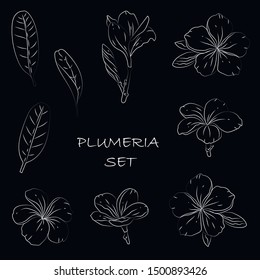 Vector floral tropical white line illustration Plumeria flowers set and leaves on black background