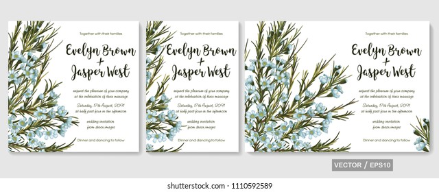 Vector floral watercolor design: pink and blue chamaelaucium (wax flower) card set. Rustic background for banners, invitation, greeting cards, flyers, wedding menu, save date
