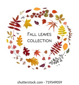 Vector floral watercolor style card design Autumn season: colorful various orange yellow brown red fall leaves herbs, forest tree branches wreath Greeting postcard invite decorative nature element set