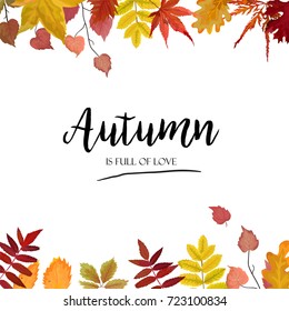 Vector floral watercolor style card design Autumn season border frame: colorful orange yellow burgundy red fall leaves forest maple oak tree branches Greeting, postcard, invite decorative & copy space