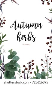 Vector floral watercolor style card design: Eucalyptus seeded greenery, thyme leaves red berry natural frame, border. Vector invite, poster, banner, postcard delicate beautiful lovely ,cute copy space