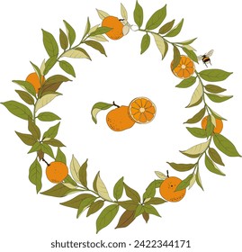 Vector floral wreath with citrus tangerine orange fruits, green leaves, foliage, bumble bee, circle frame for greeting card