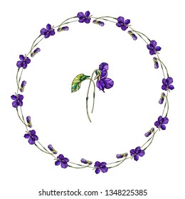 Vector floral wreath of violets flowers. Violet fragrant