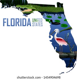 vector Florida - American state map with alligator, spoonbill, coot and turtle