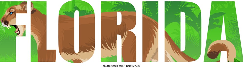 vector Florida - American state word with  puma cougar or mountain lion and wetland jungle rainforest