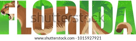 vector Florida - American state word with  puma cougar or mountain lion and wetland jungle rainforest