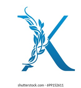 Vector Flourish Blue Letter X Logo