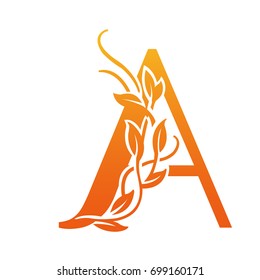 Vector Flourish Orange Letter A Logo