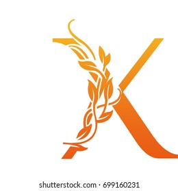 Vector Flourish Orange Letter X Logo