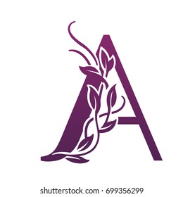Vector Flourish Purple Letter A Logo