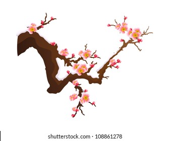 vector flower