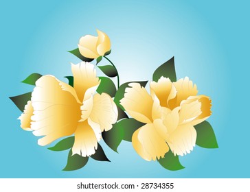 vector flower