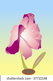 vector flower