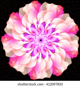 Vector flower Abstract floral on black 