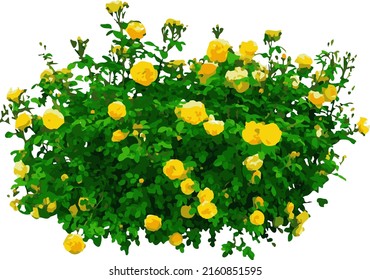 vector flower arrangement a combination of art and the beauty of flower colors that are good to associate with several objects