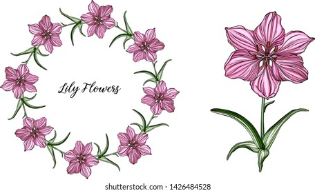 Vector flower arrangements with Lily flowers
