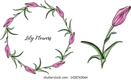 Vector flower arrangements with Lily flowers

