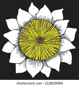 vector flower art and drawing 