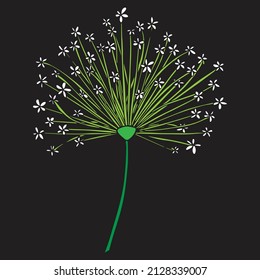 vector flower art and drawing 