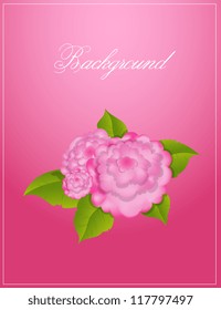 Vector Flower Background