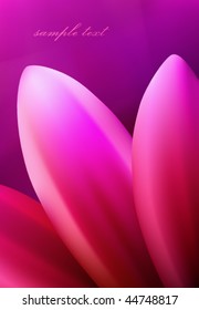 vector flower background