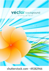 Vector flower background