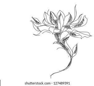 VECTOR Flower background for design