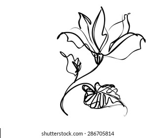 VECTOR    Flower background for design