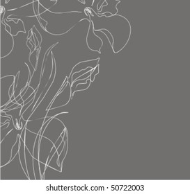 VECTOR Flower background for design
