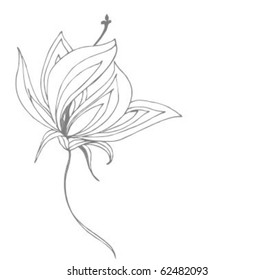 VECTOR  Flower background for design