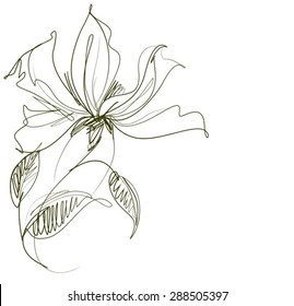 VECTOR    Flower background for design with a tulip  