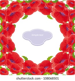 Vector flower background with poppy